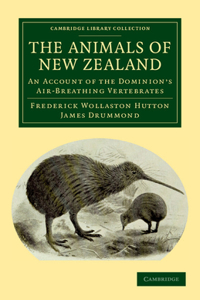 Animals of New Zealand