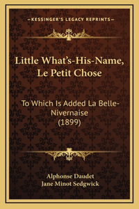 Little What's-His-Name, Le Petit Chose