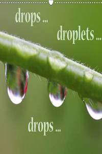 Drops ... Droplets ... Drops ... 2017