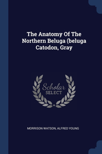 The Anatomy Of The Northern Beluga (beluga Catodon, Gray