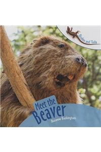 Meet the Beaver