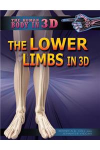 Lower Limbs in 3D