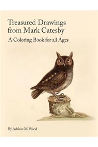 Treasured Drawings from Mark Catesby