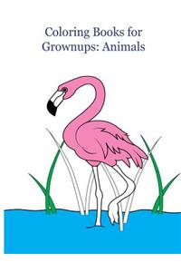 Coloring Books for Grownups: Animals