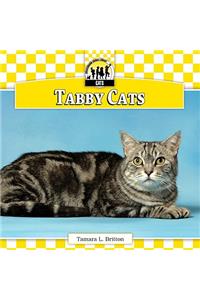 Tabby Cats