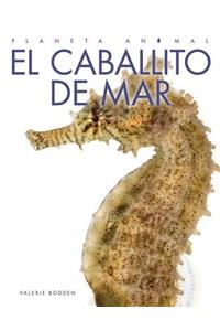 El Caballito de Mar