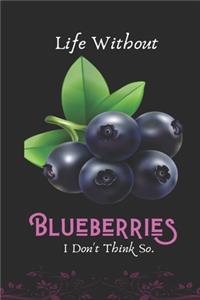 Life Without Blueberries I Don't Think So