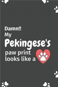 Damn!! my Pekingese's paw print looks like a