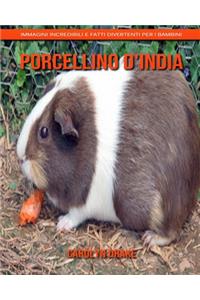 Porcellino d'India