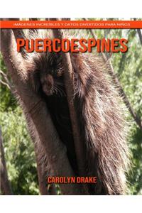 Puercoespines
