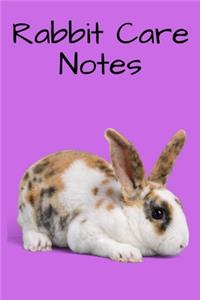 Rabbit Care Notes