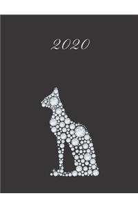 2020