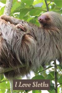 I Love Sloths