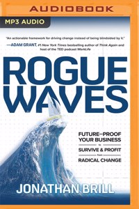 Rogue Waves