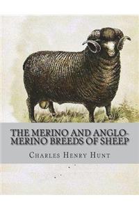 Merino and Anglo-Merino Breeds of Sheep