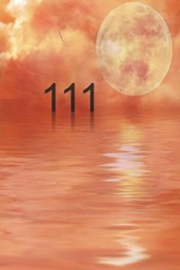 111