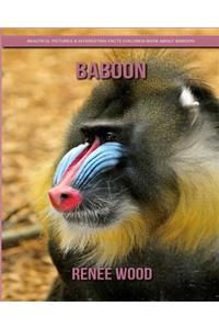 Baboon