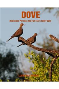 Dove