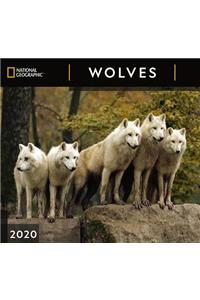 Cal 2020-National Geographic Wolves Wall
