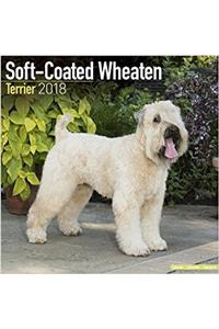 Soft Coated Wheaten Terrier Calendar 2018