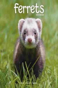 Ferrets 2023 Wall Calendar