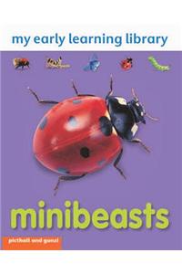 Mini Beasts