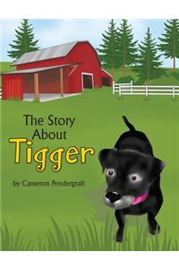 Story About Tigger