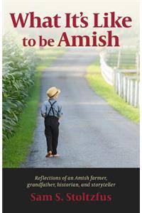 What It's Like to Be Amish