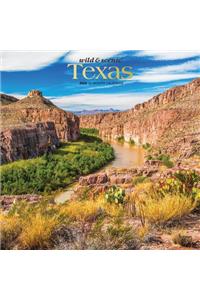 Texas Wild & Scenic 2020 Square Foil