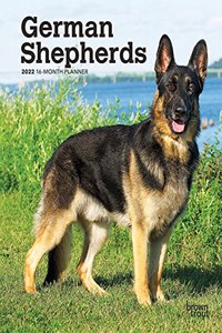 German Shepherds 2022 Engagement
