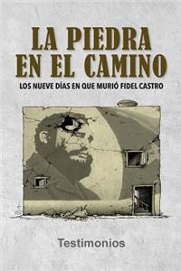 piedra en el camino
