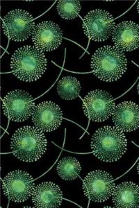 Bullet Journal Notebook Watercolor Dandelions Pattern 3