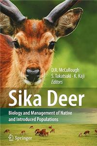Sika Deer