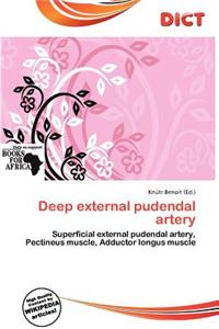 Deep External Pudendal Artery