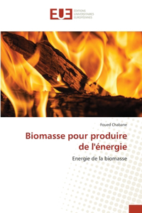 Biomasse pour produire de l'énergie