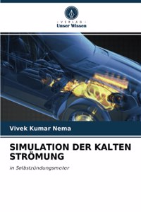 Simulation Der Kalten Strömung