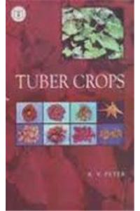 Tuber Crops