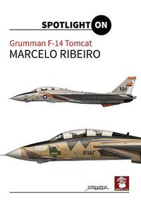 Grumman F-14 Tomcat