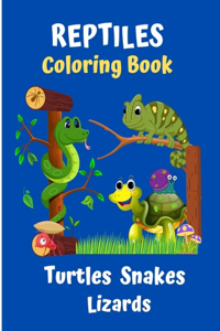 Reptiles Coloring Book Turtles Snakes Lizards