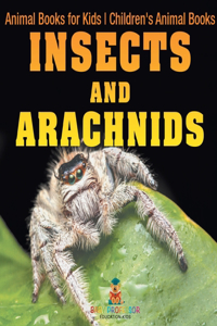 Insects and Arachnids
