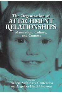 Organization of Attachment Relationships