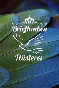 Brieftauben Flüsterer