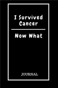 I Survived Cancer Now What