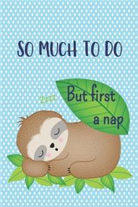 So Much to do But First a Nap