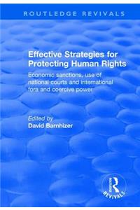 Effective Strategies for Protecting Human Rights