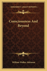 Consciousness and Beyond