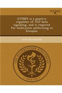 Gtpbp2 Is a Positive Regulator of Tgf-Beta Signaling