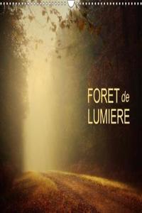Foret De Lumiere 2018