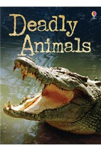 Deadly Animals