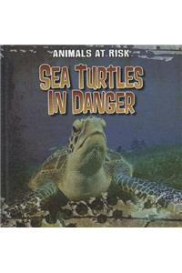 Sea Turtles in Danger